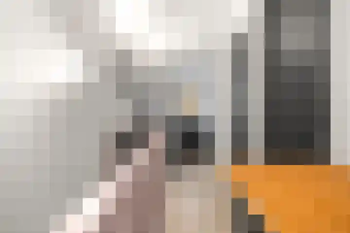 Bivak 15 Ede thumbnail 36