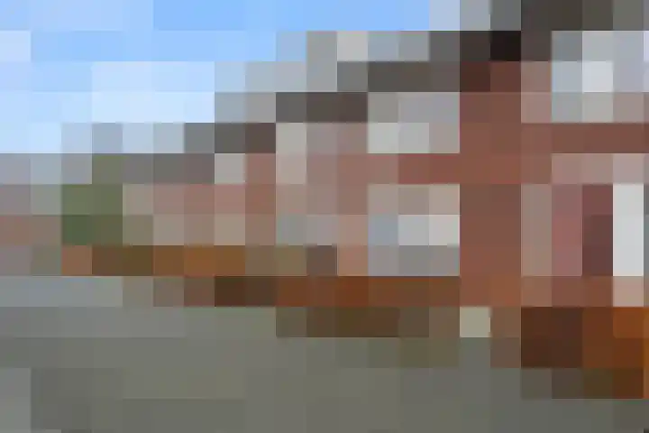 Bivak 15 Ede thumbnail 42