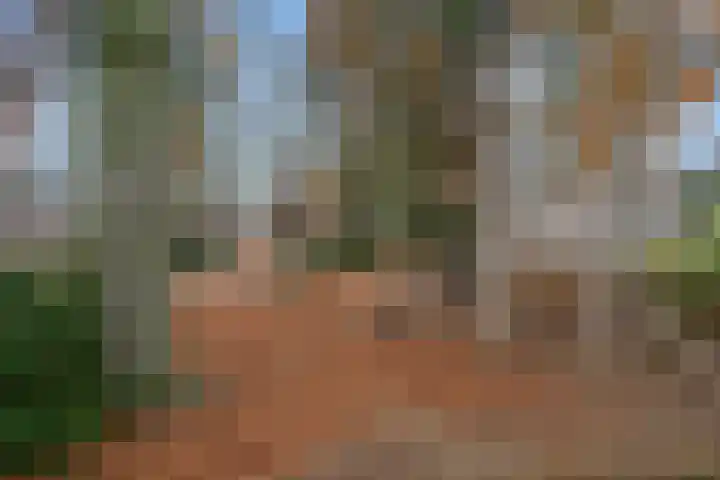 Bivak 15 Ede thumbnail 45