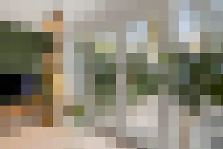 Bivak 15 Ede thumbnail 5