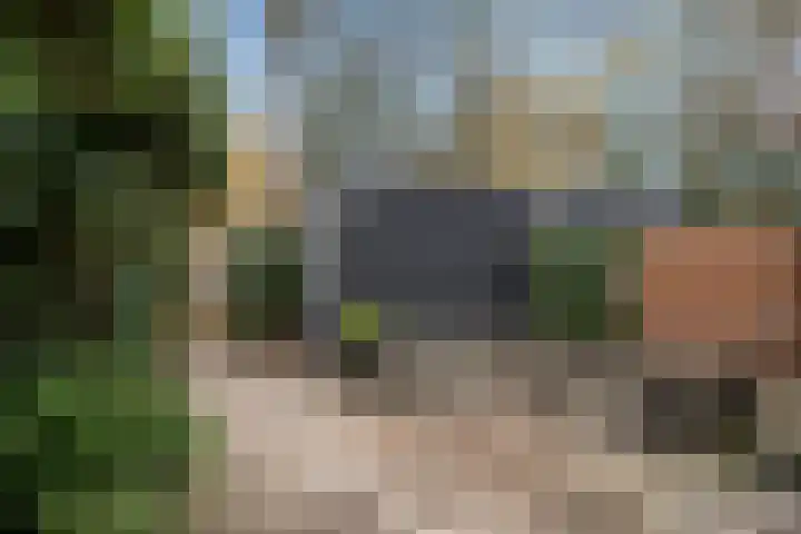 Bivak 15 Ede thumbnail 6