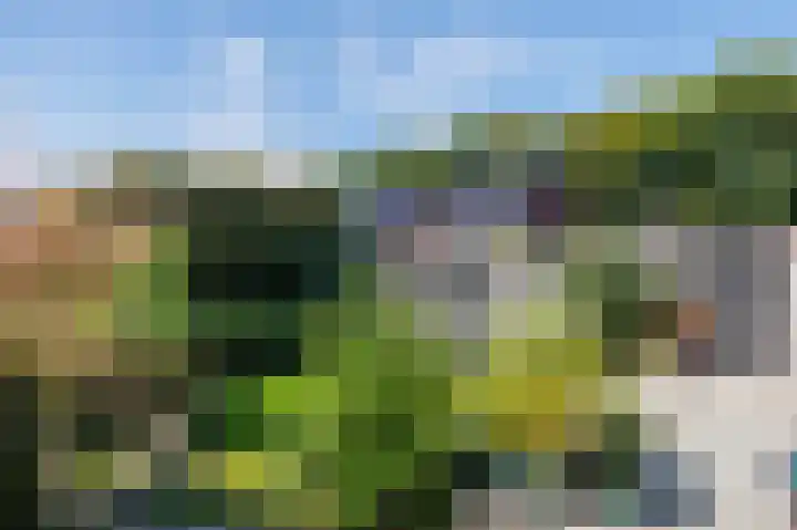Bivak 46 Ede thumbnail 33