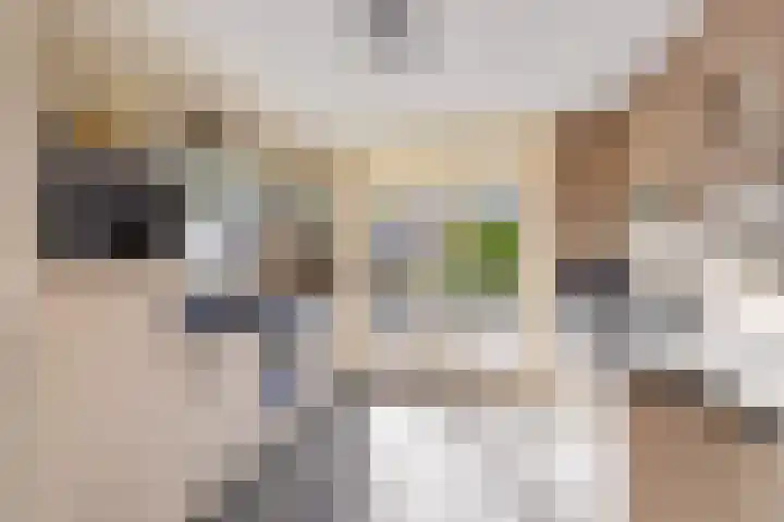 Bizetpad 2 Dirksland thumbnail 14