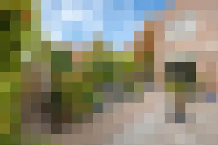 Bizetpad 2 Dirksland thumbnail 16