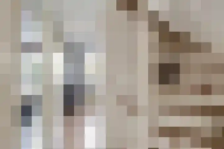 Bizetpad 2 Dirksland thumbnail 22