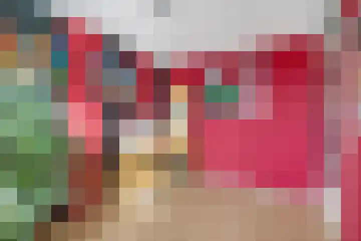 Bizetpad 2 Dirksland thumbnail 28