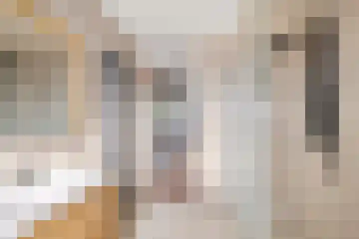 Bizetpad 2 Dirksland thumbnail 31