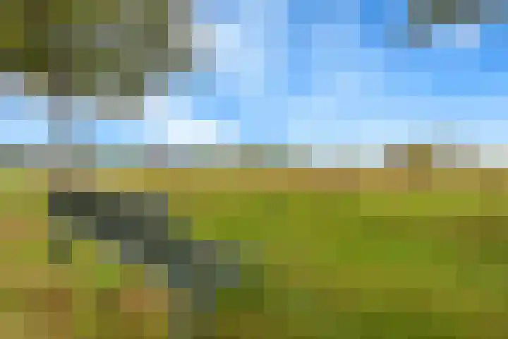 Bizetpad 2 Dirksland thumbnail 42