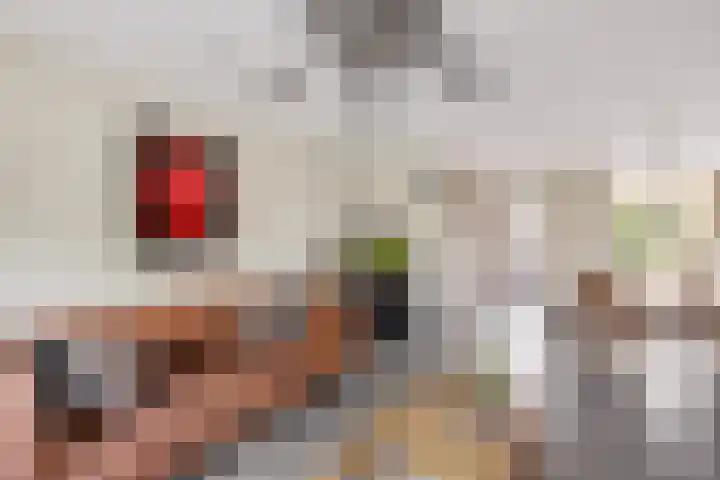 Bizetpad 2 Dirksland thumbnail 8