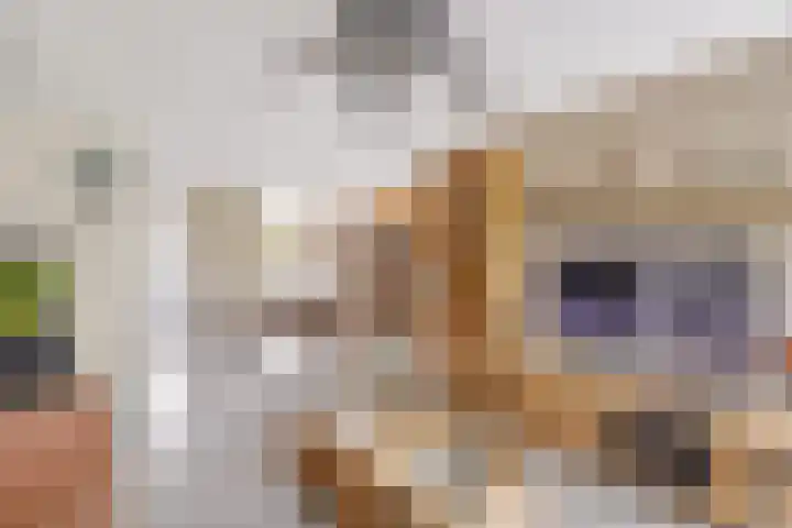 Bizetpad 2 Dirksland thumbnail 9
