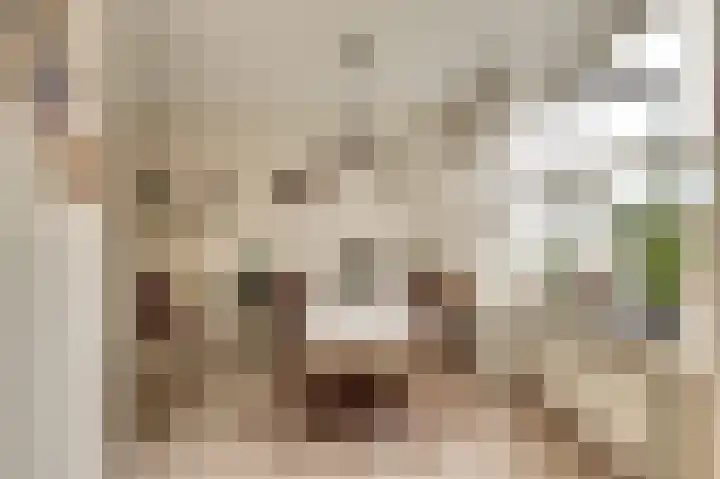 Blaak 105 Ridderkerk thumbnail 15