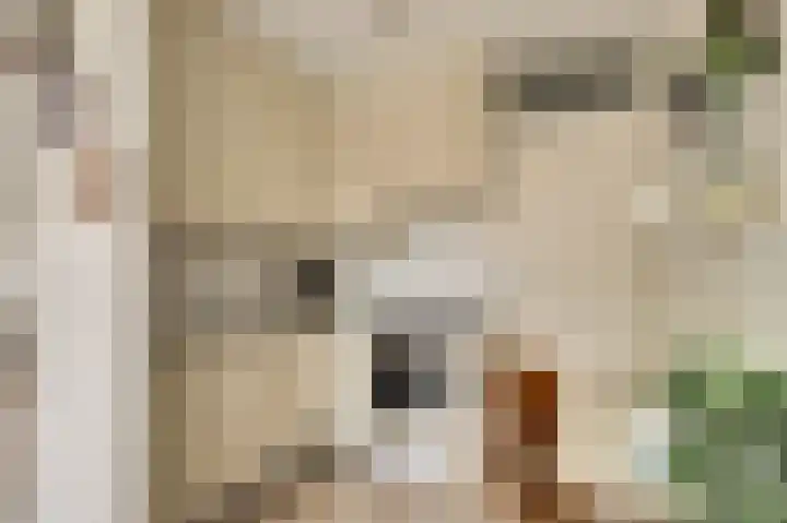 Blaak 105 Ridderkerk thumbnail 18