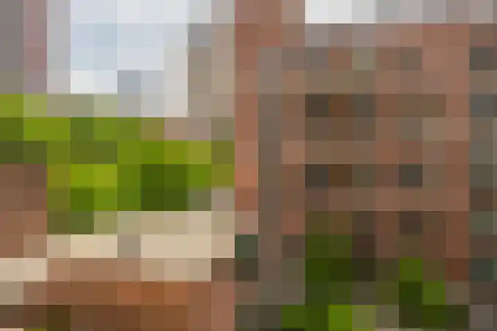 Blaak 223 Rotterdam thumbnail 27