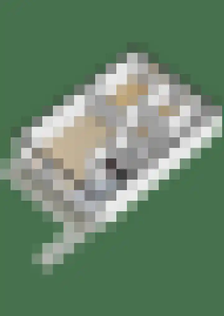 Blaak 223 Rotterdam thumbnail 38