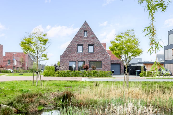 Blaarkop 109 in Meerstad foto