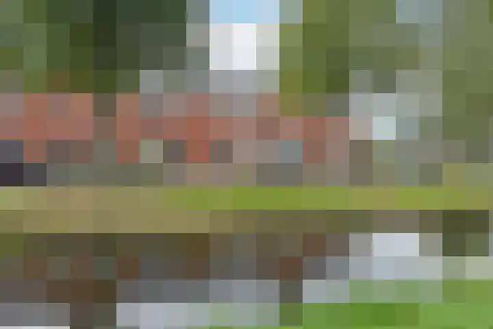 Blaarkop 21 in Ter Aar