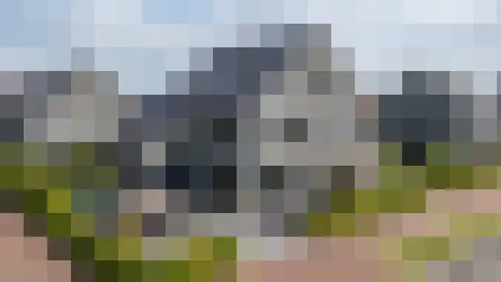 Blaarkop 51 Meerstad