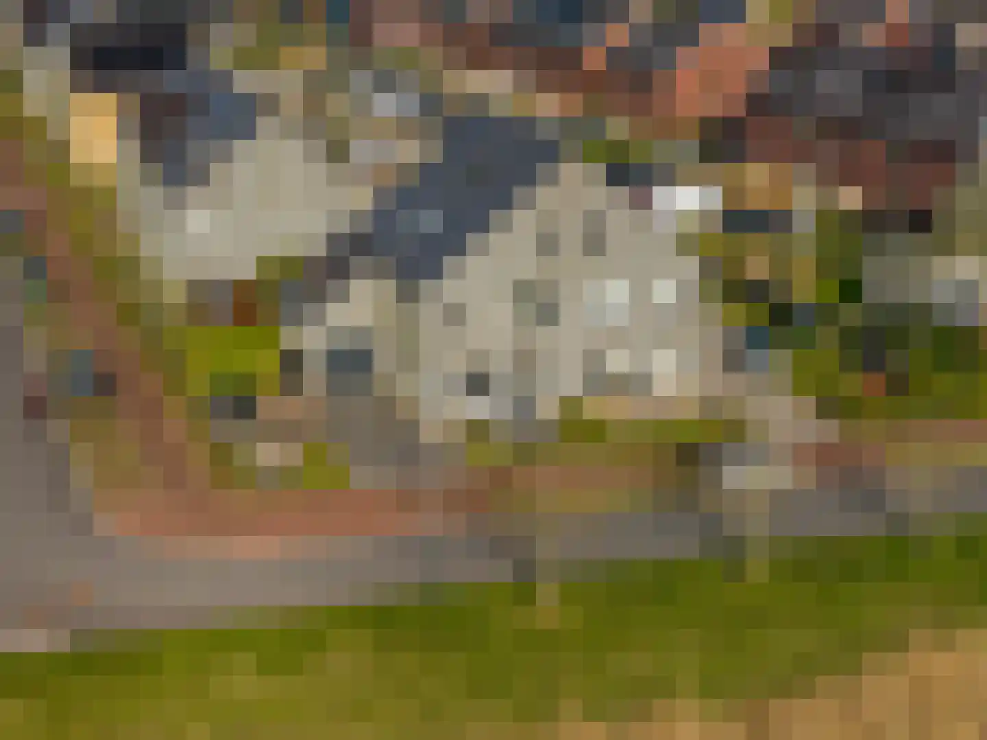 Blaarkop 51 Meerstad