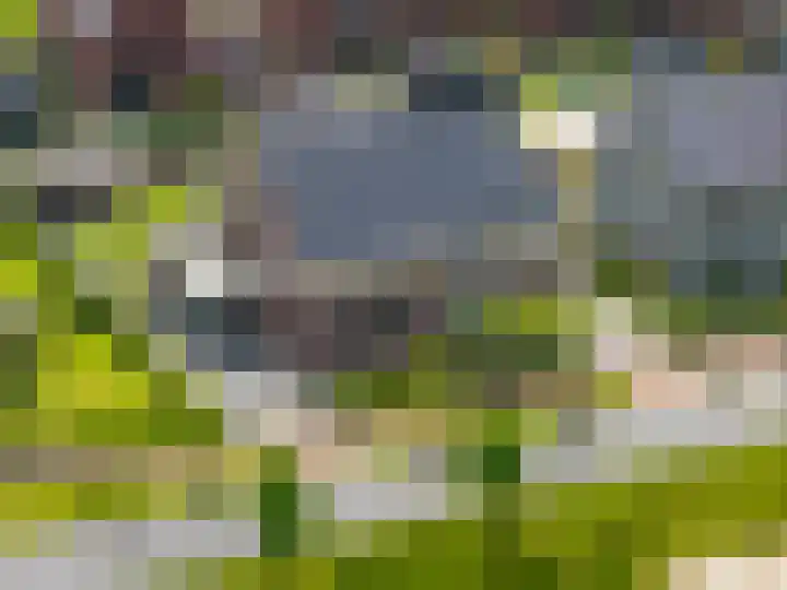 Blaarkop 83 in Meerstad