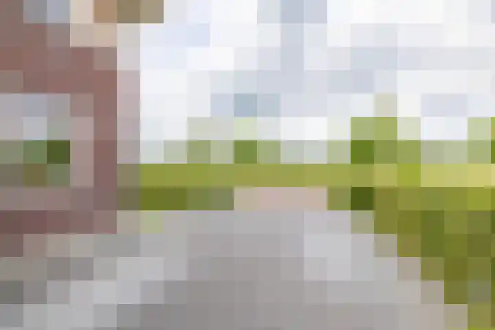 Blaarkop 83 Meerstad thumbnail 10