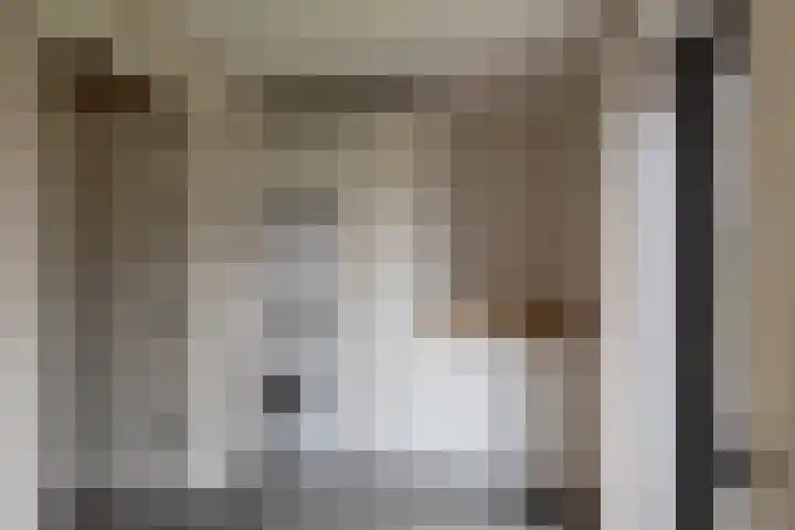 Blaarkop 83 Meerstad thumbnail 32
