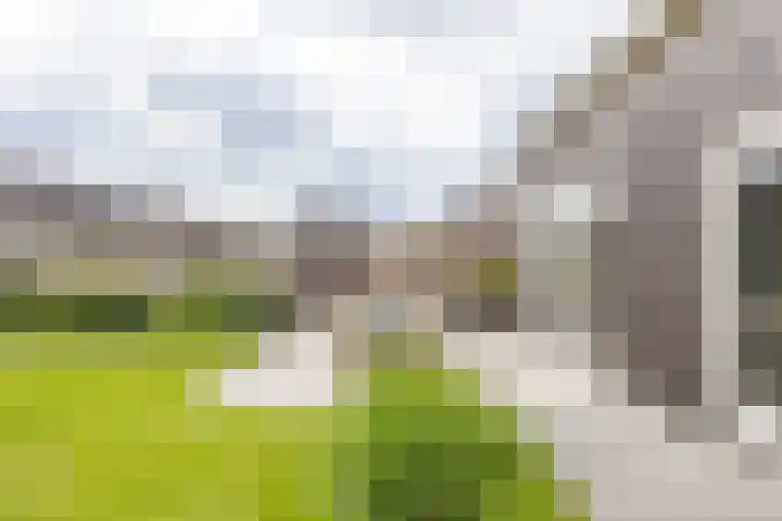 Blaarkop 83 Meerstad thumbnail 38