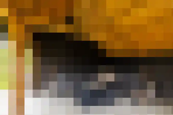 Blaarkop 83 Meerstad thumbnail 39