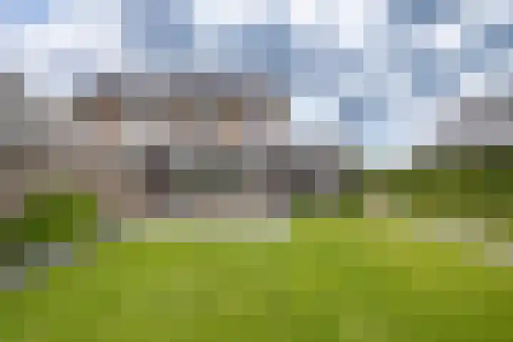 Blaarkop 83 Meerstad thumbnail 40