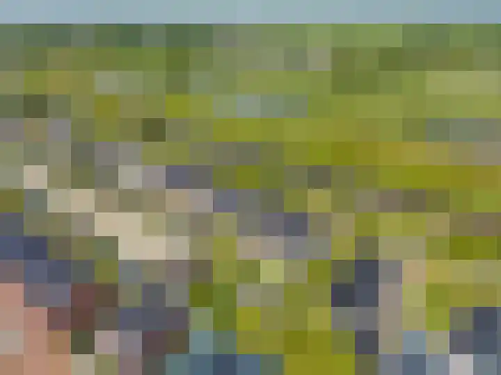 Blaarkop 83 Meerstad thumbnail 5