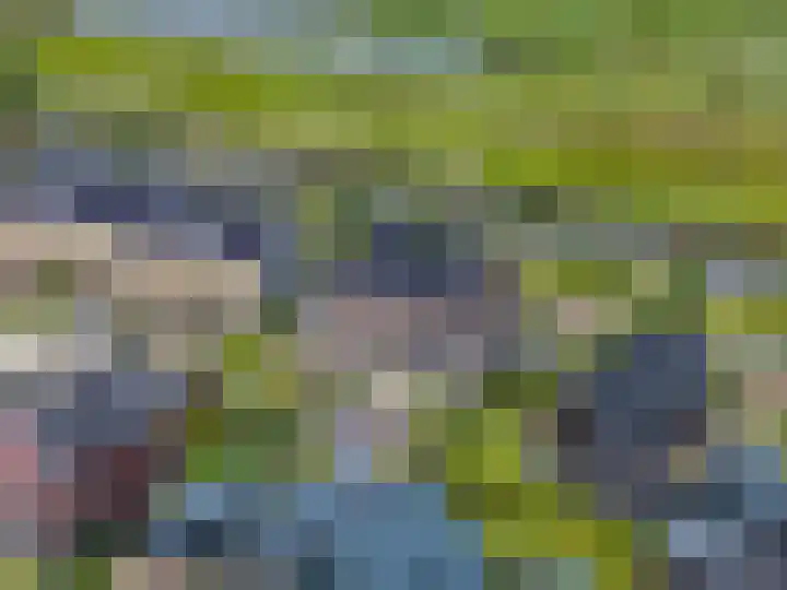 Blaarkop 83 Meerstad thumbnail 6