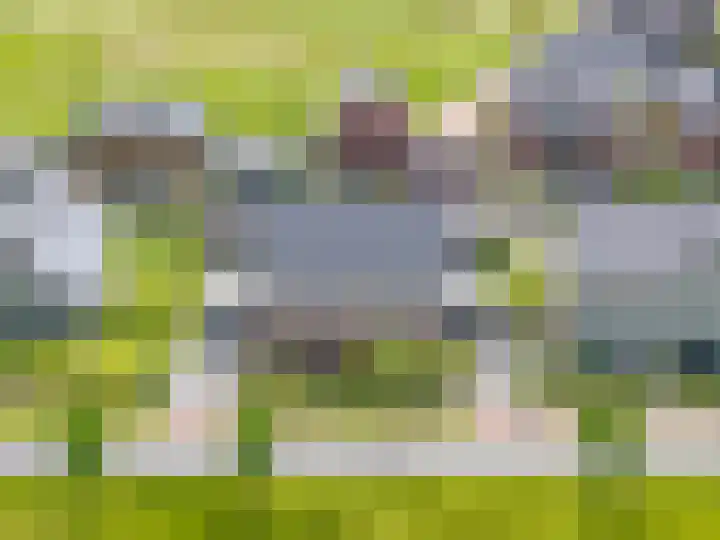 Blaarkop 83 Meerstad thumbnail 66