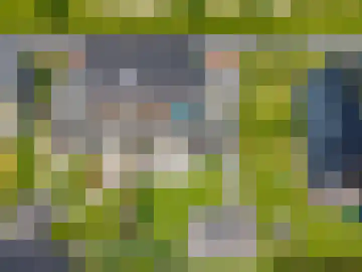 Blaarkop 83 Meerstad thumbnail 67