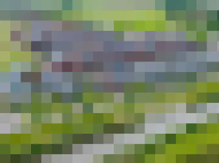 Blaarkop 83 Meerstad thumbnail 68