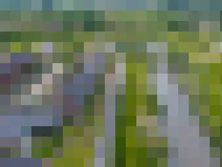 Blaarkop 83 Meerstad thumbnail 7
