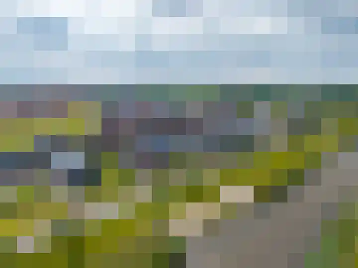 Blaarkop 83 Meerstad thumbnail 8