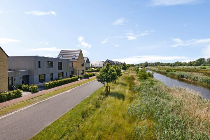 Blaarkop 93 in Meerstad foto