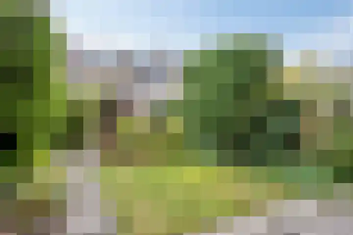 Blaaspijp 25 Leerdam thumbnail 11