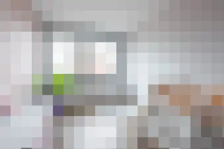 Blaaspijp 25 Leerdam thumbnail 13