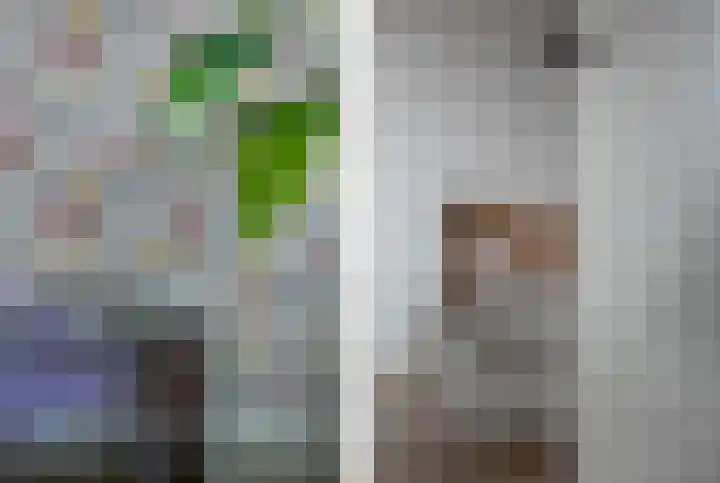 Blaaspijp 25 Leerdam thumbnail 14