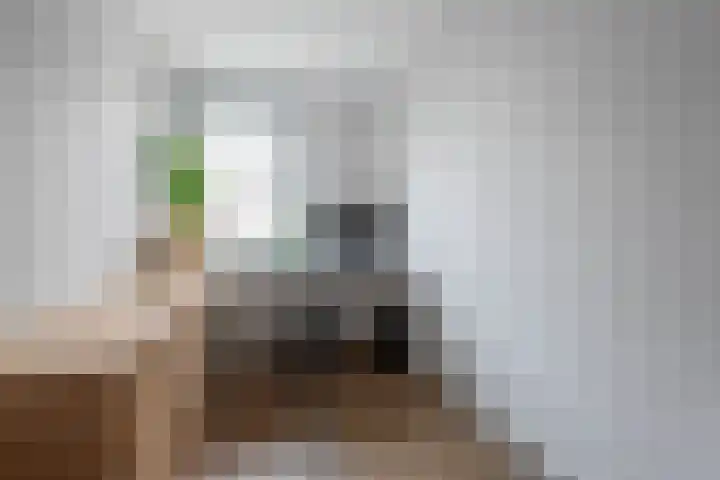 Blaaspijp 25 Leerdam thumbnail 15