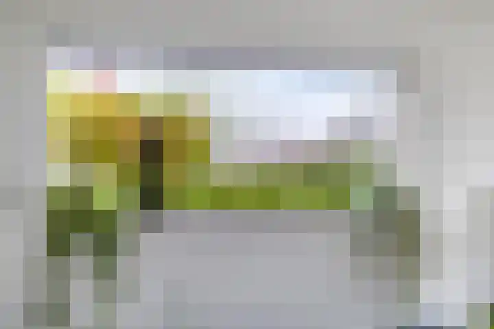 Blaauboerperk 31 Drachten thumbnail 10
