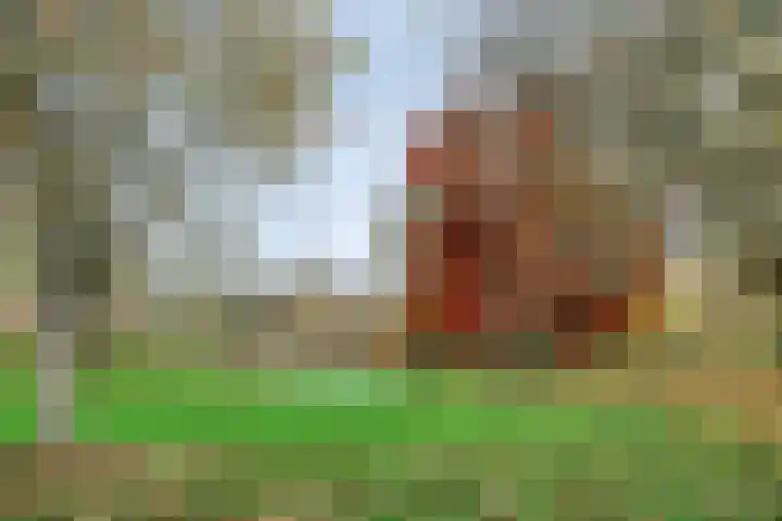 Blaauboerperk 31 Drachten thumbnail 36