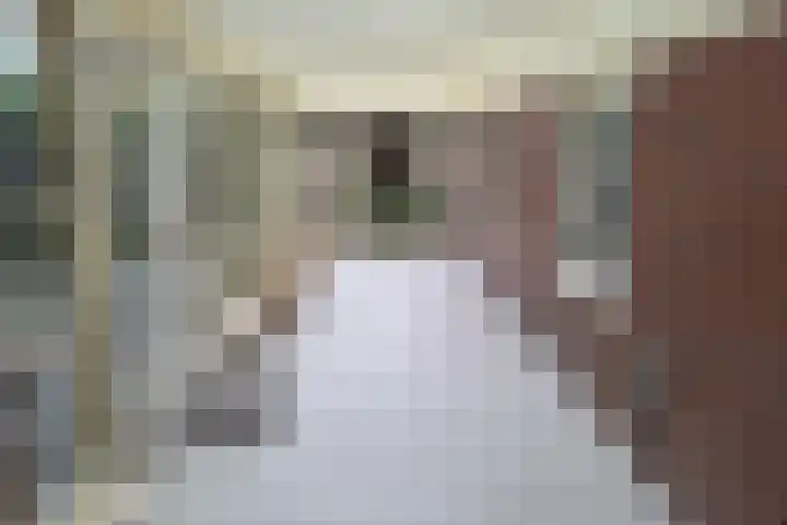 Blaauwslaan 10 Siddeburen thumbnail 11