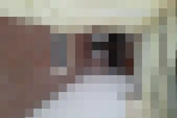 Blaauwslaan 10 Siddeburen thumbnail 12