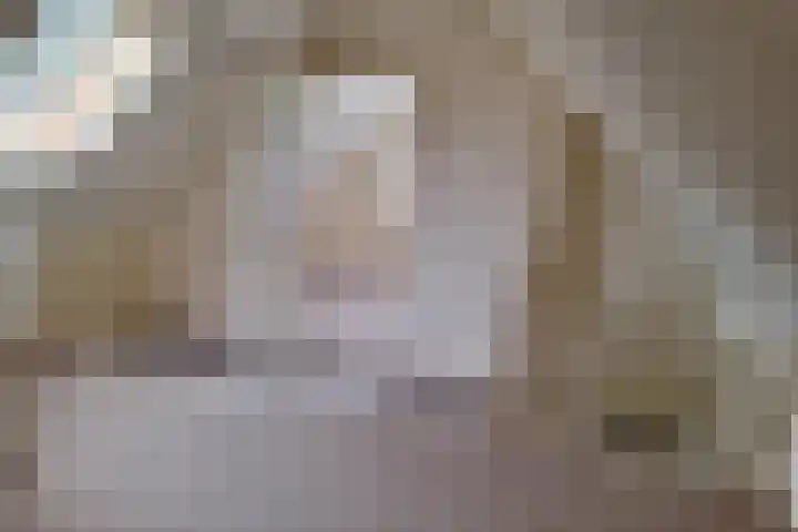Blaauwslaan 10 Siddeburen thumbnail 19