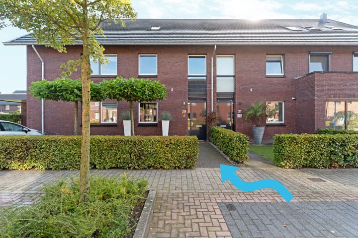 Black Alicante 29 in Huissen foto