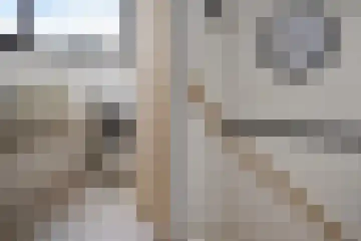 Bladelstraat 13 Arnhem thumbnail 31