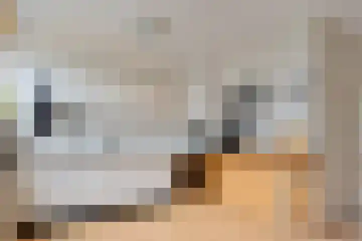 Bladelstraat 13 Arnhem thumbnail 7