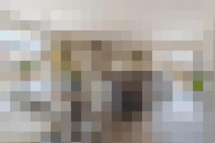 Bladriet 1 Werkendam thumbnail 14