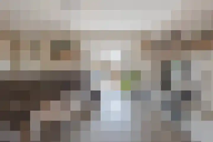 Bladriet 1 Werkendam thumbnail 15